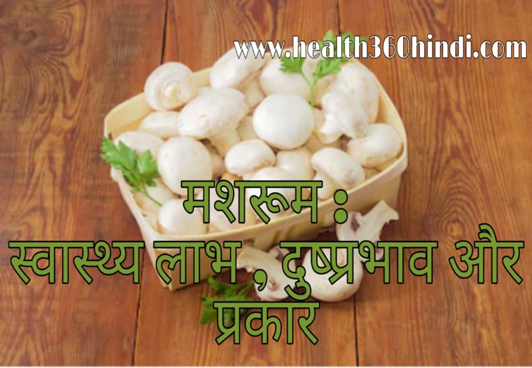 Mushroom in Hindi