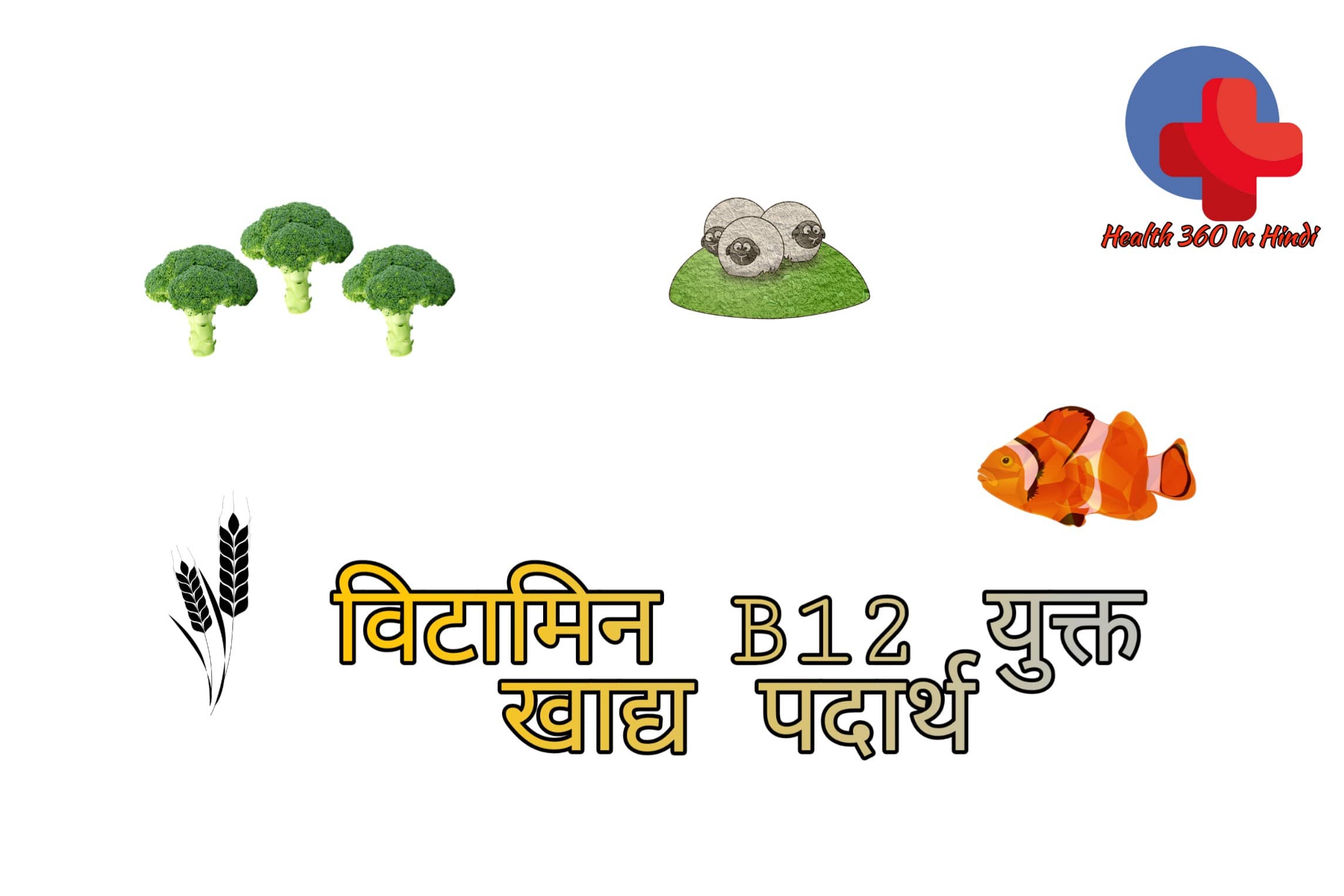 Vitamin b12 foods list in hindi