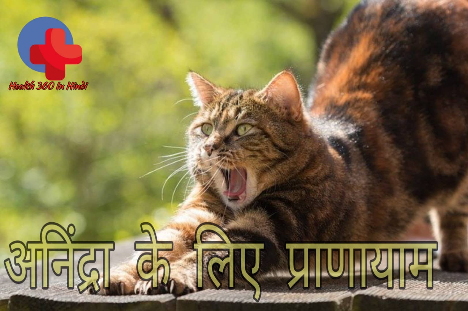 Yoga For Sleep in Hindi