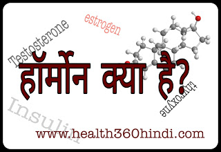 Hormone in Hindi