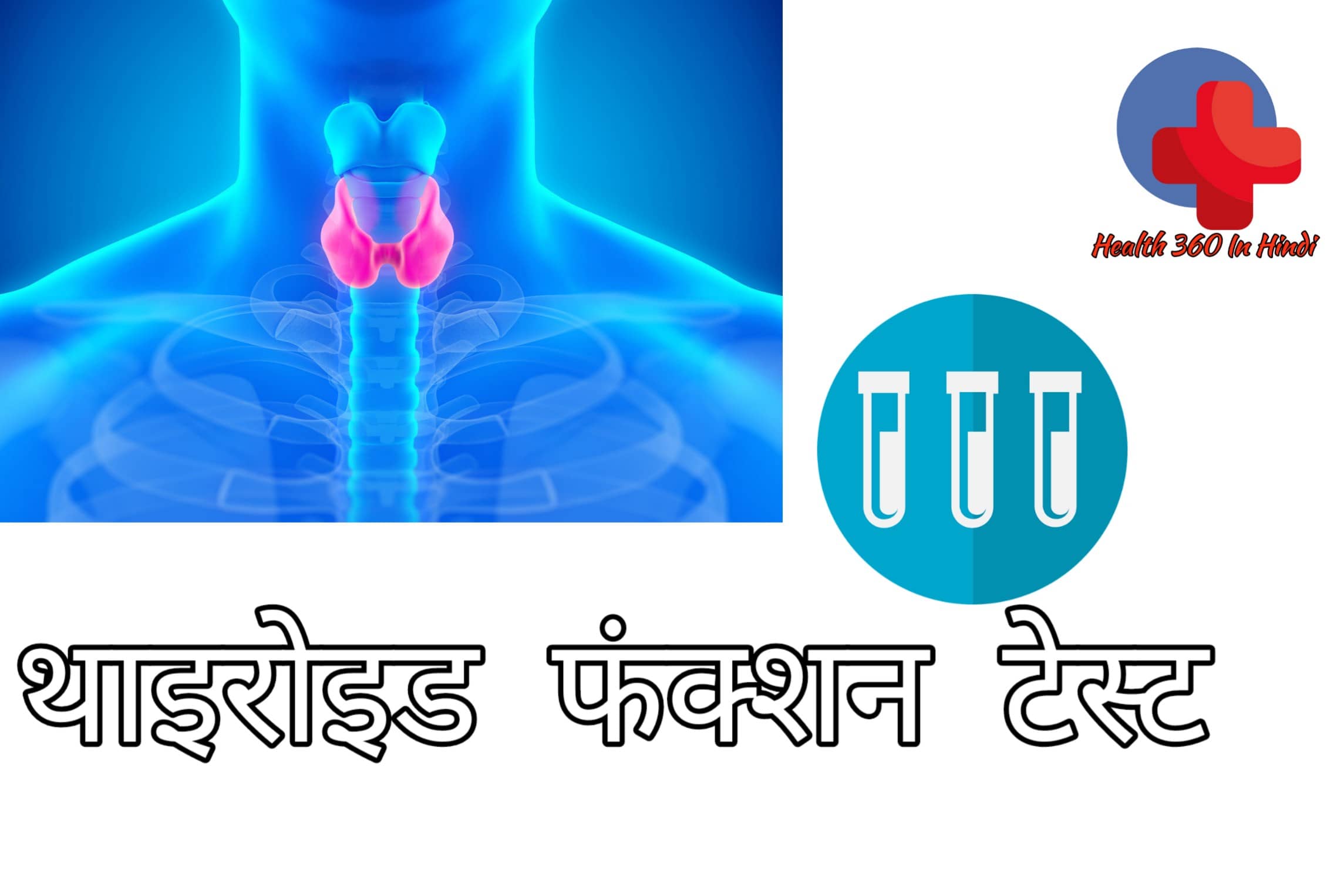Thyroid Function Test in Hindi