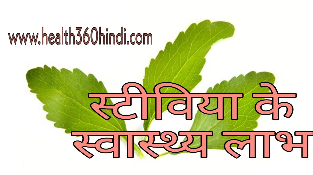 Stevia in Hindi