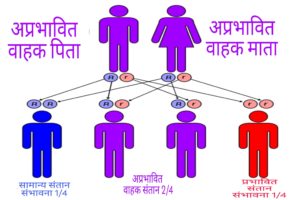 thalassemia in Hindi