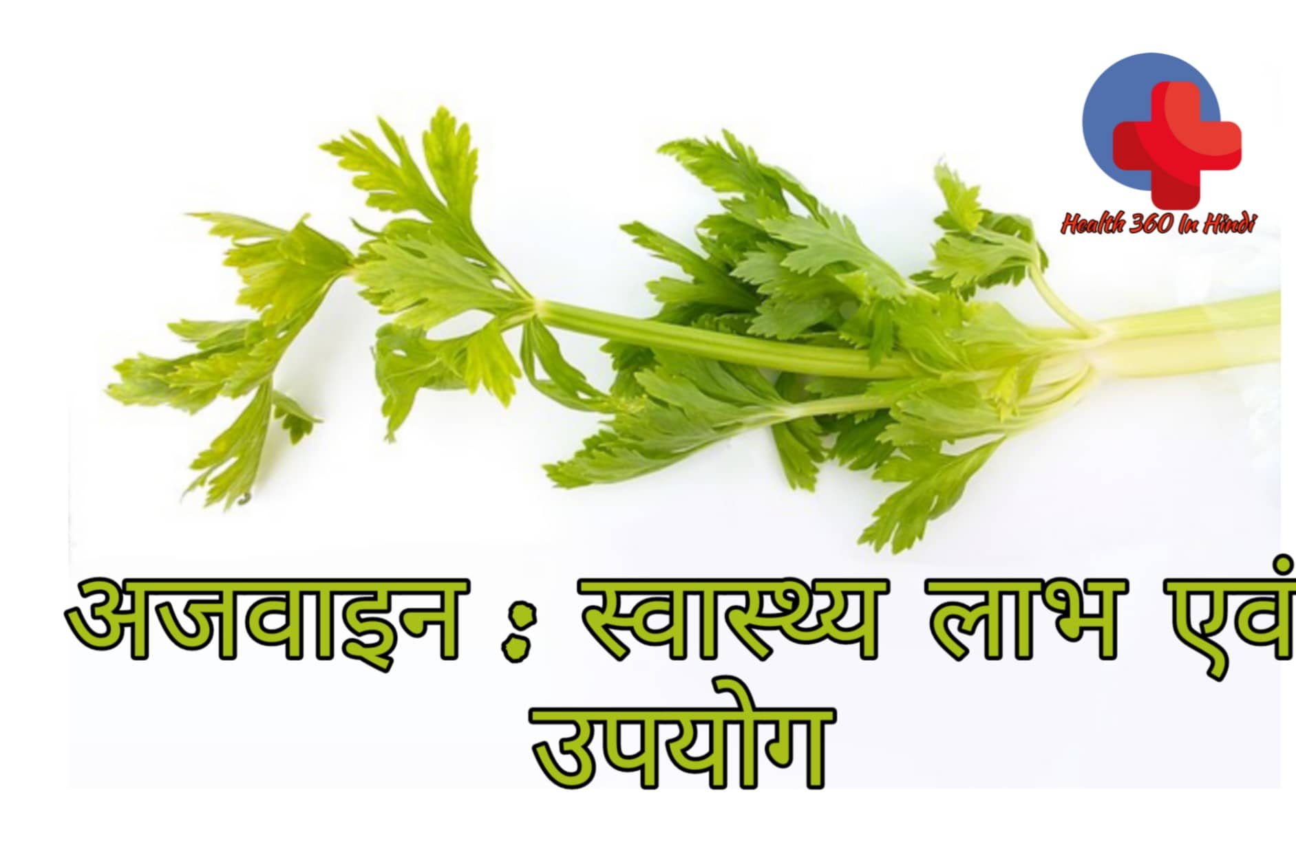 celery in hindi