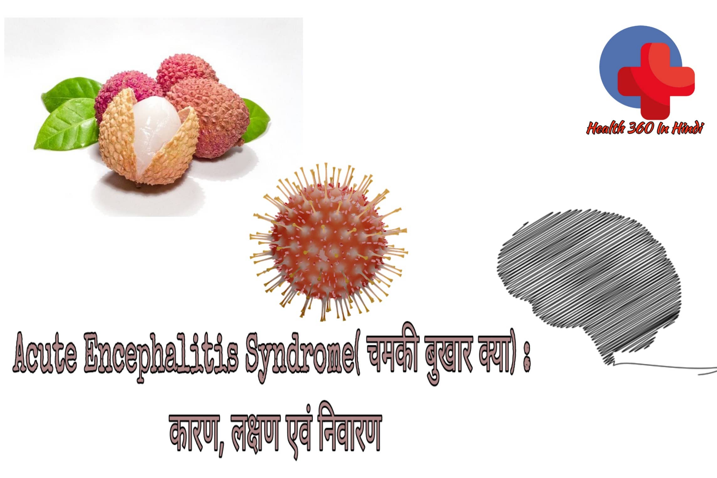 Acute Encephalitis Syndrome in Hindi