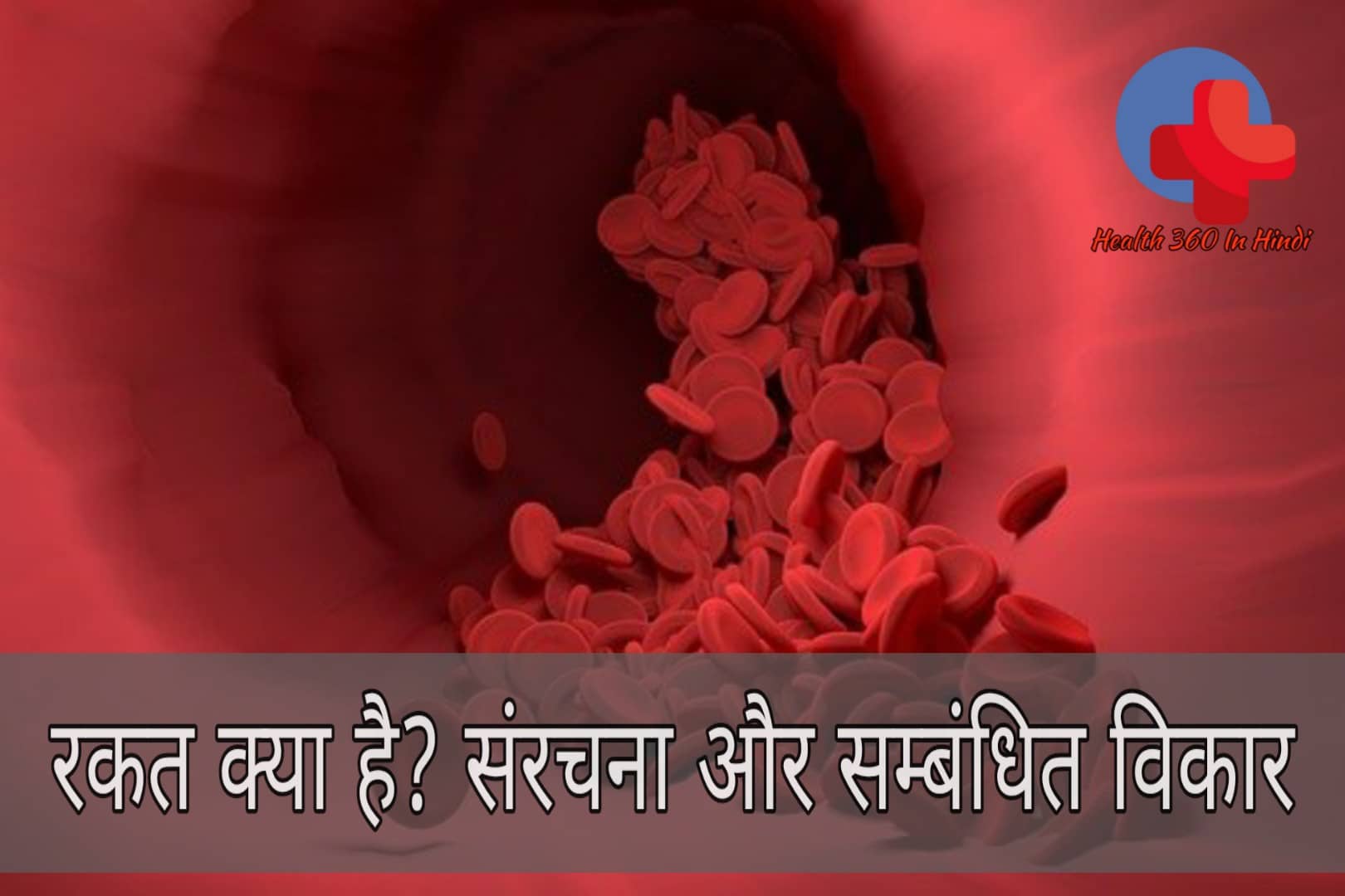 short essay on blood in hindi