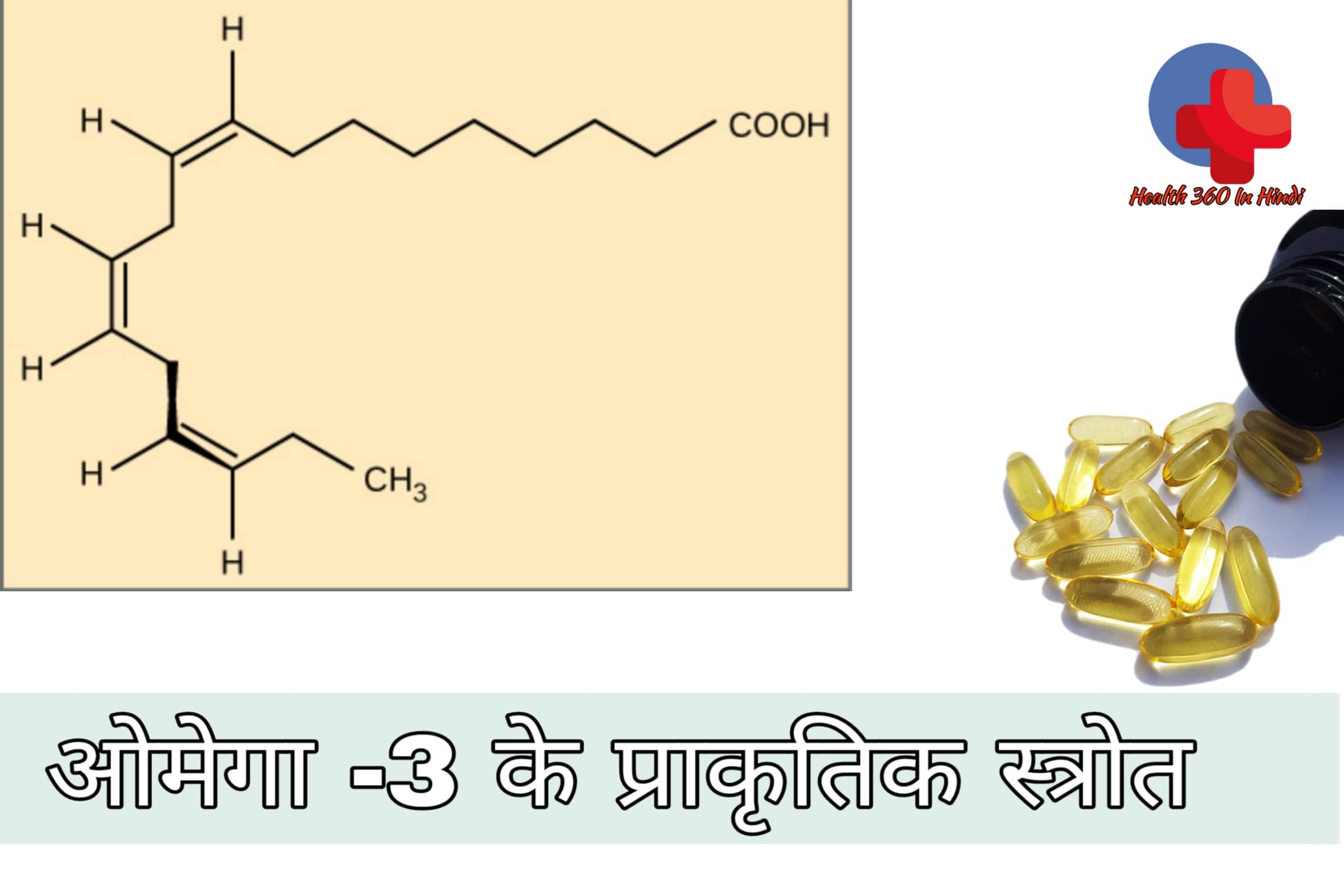 Omega 3 Fatty Acid Foods in Hindi