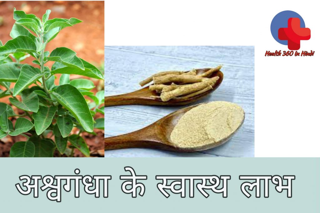 Ashwagandha Benefit in Hindi