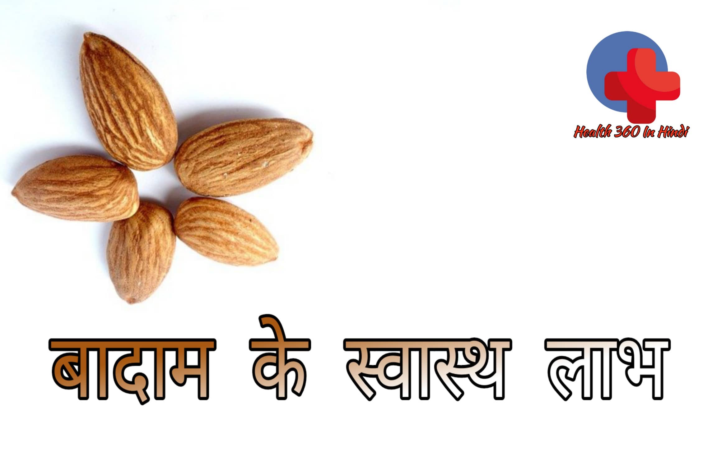 almond-in-hindi