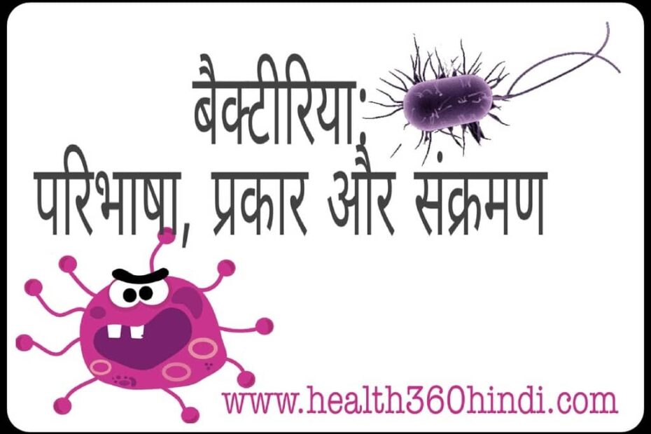 bacteria in hindi